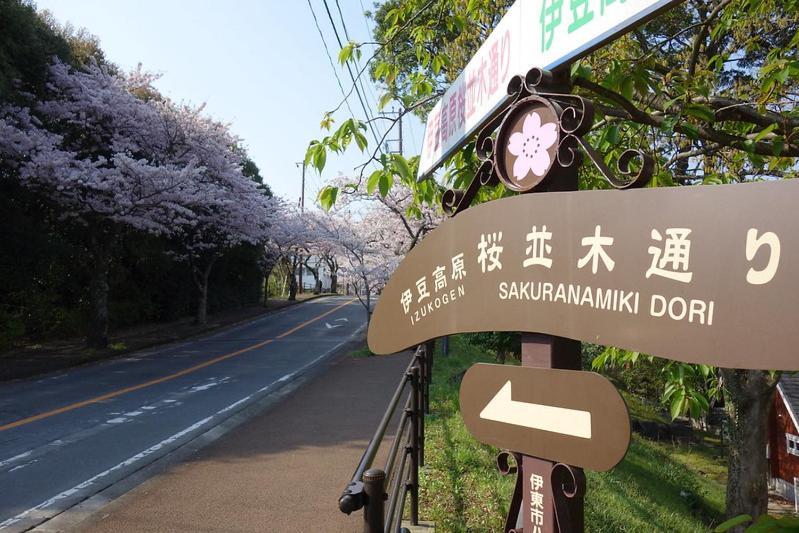 伊豆高原 温泉付別荘 Isana Mountain Villa Futo Eksteriør bilde
