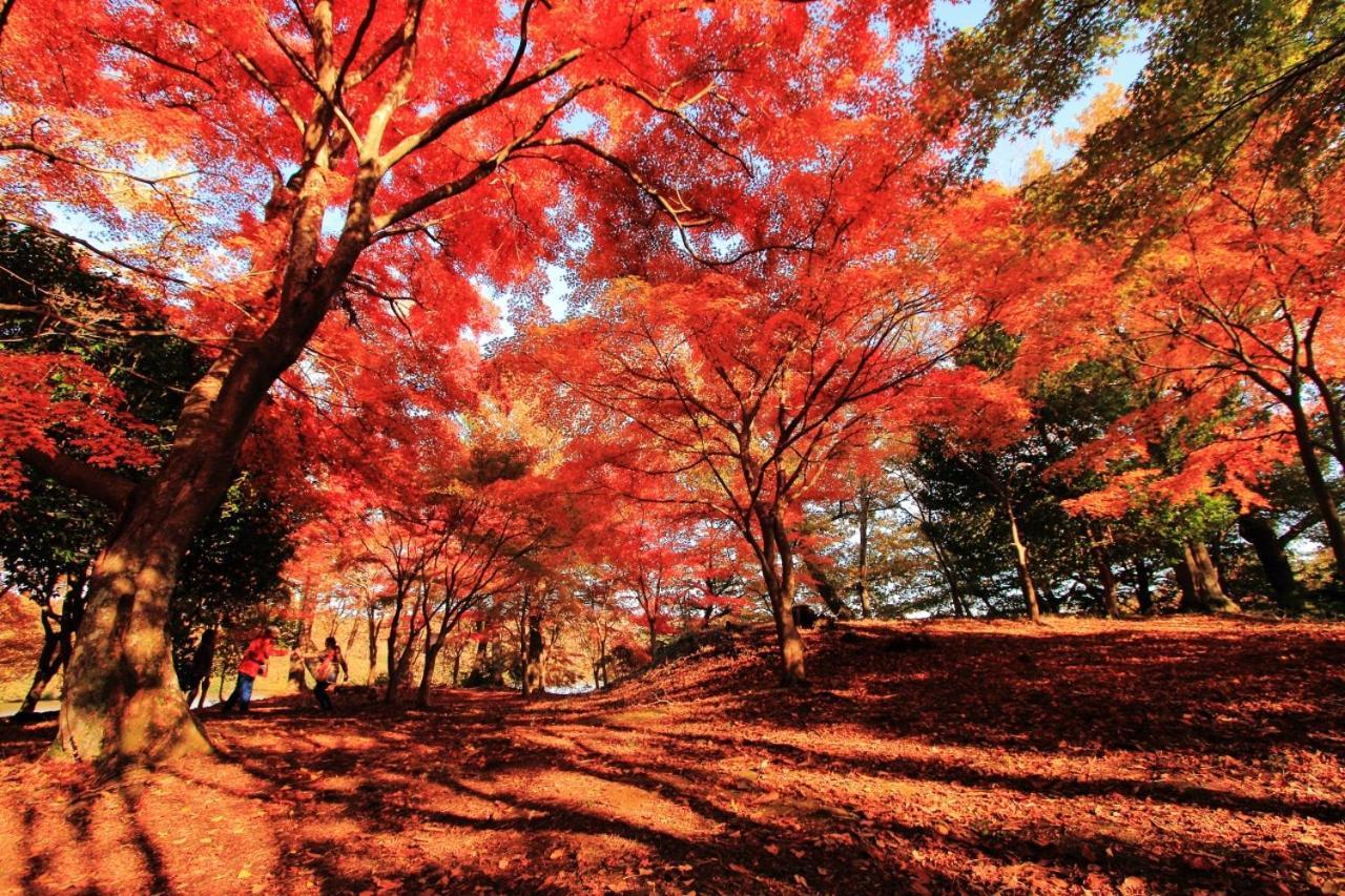 伊豆高原 温泉付別荘 Isana Mountain Villa Futo Eksteriør bilde