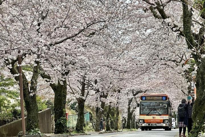伊豆高原 温泉付別荘 Isana Mountain Villa Futo Eksteriør bilde