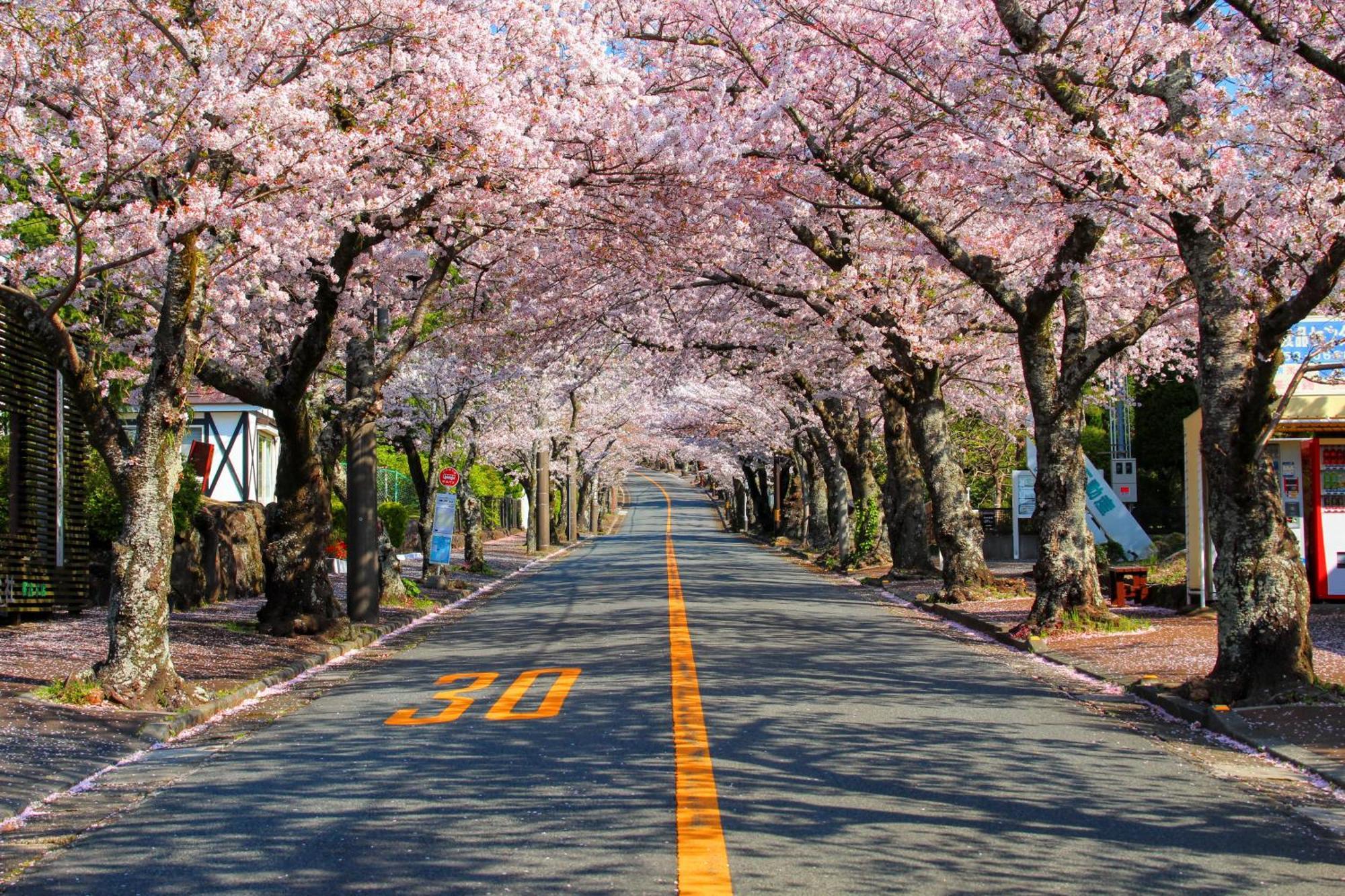 伊豆高原 温泉付別荘 Isana Mountain Villa Futo Eksteriør bilde
